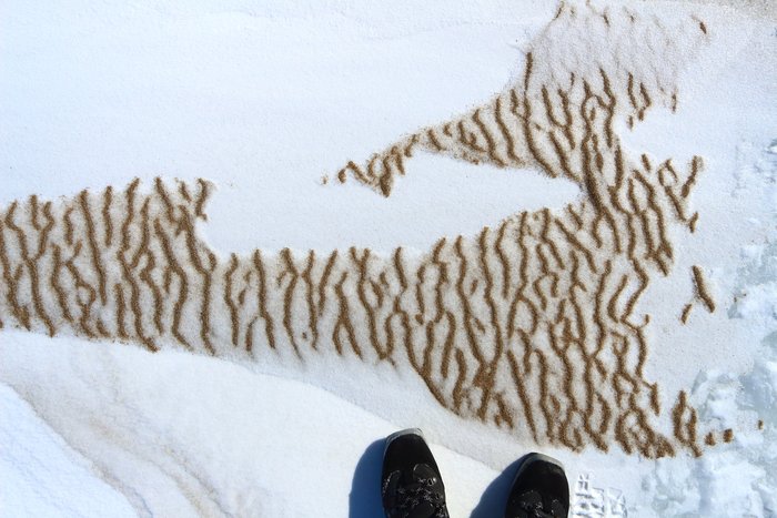Wind left ripples in this mix of sand and snow.  The sand preferentially concentrated to the ridges of the ripples.