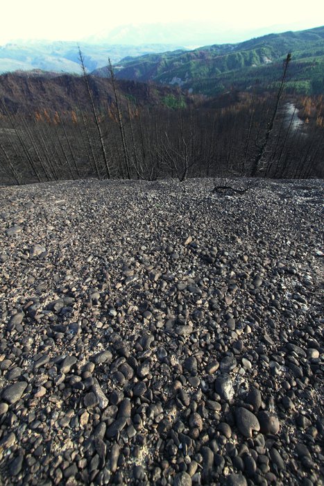 Creosote blackens gravel on a barren hilltop.