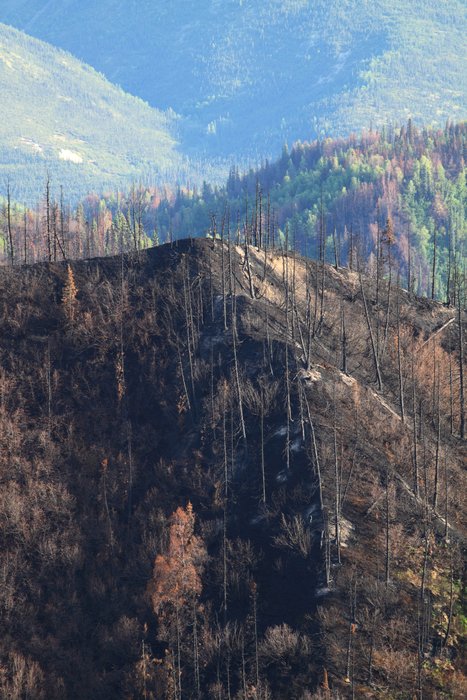 The fire overtook this hilltop, likely sending searing streams of smoke and fire up the steep slopes from below.