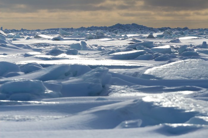 It's not just a matter of cold air freezing the surface of the ocean - many processes, including currents, wind, snow, and waves help create complex sea ice landscapes.