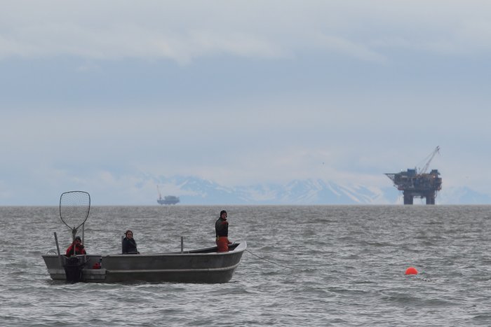 A boat working salmon nets along the shore of the Kustatan Peninsula, near oil rigs.