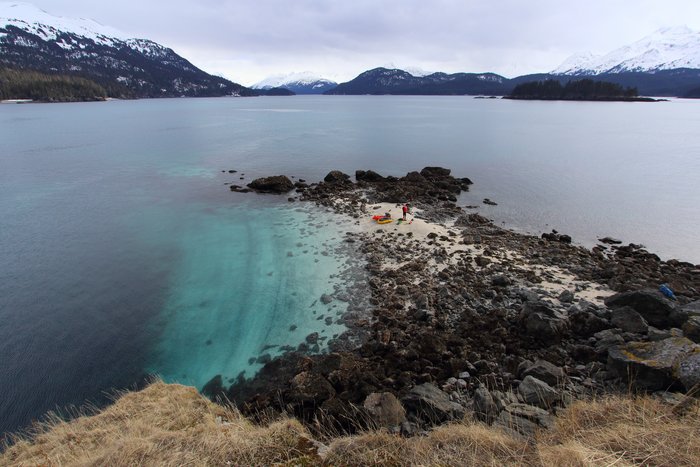 A beach made mostly of barnacle and other shell fragments forms on Grass Island in Eldredge Passage.
