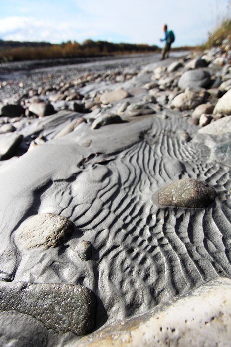 Receeding waters leave patterned silt ripples along the Matanuska River.