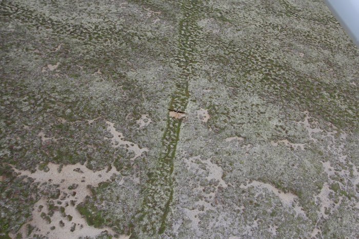 A shallow depression in the tundra, highlighted by contrasting vegetation and more extreme crioturbation, cuts across the traces of ancient channels in the tundra near Lake Iliamna.