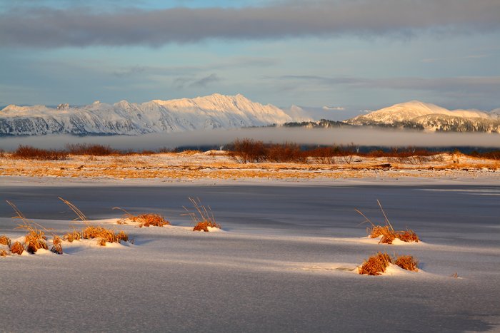 Near the mouth of the Bering River, a late winter sunrise turns the beach grass on Kanak Island to gold. 