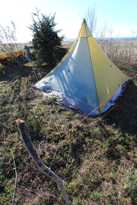 Tent with the bear fence on the Redoubt Bay flats