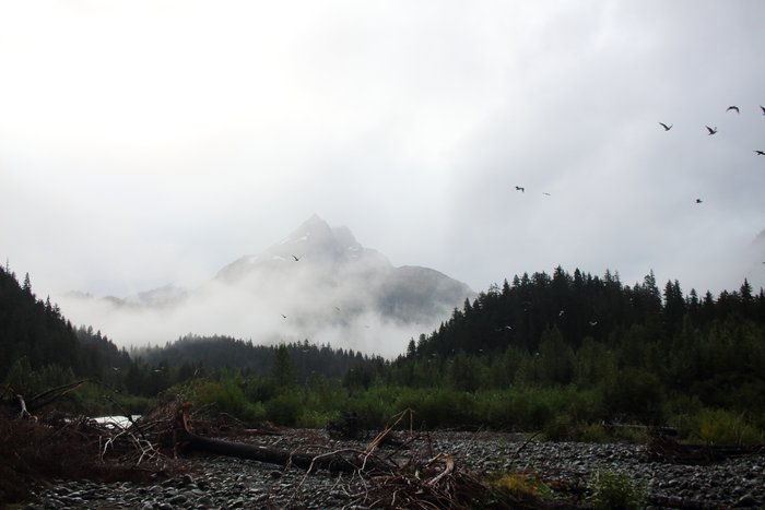The mountains between Tutka Bay and Gore Point are steep and often shrouded in mist.