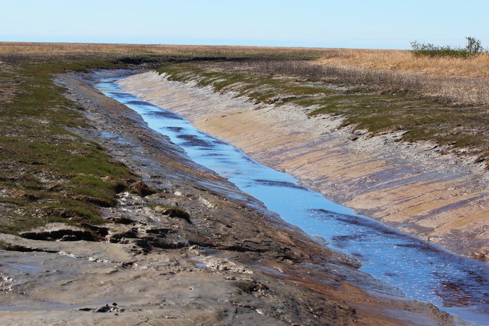 A tidal slough near Redoubt Bay