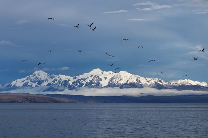 Birds flying over Lake Titicaca, with the Andes rising in the distance.