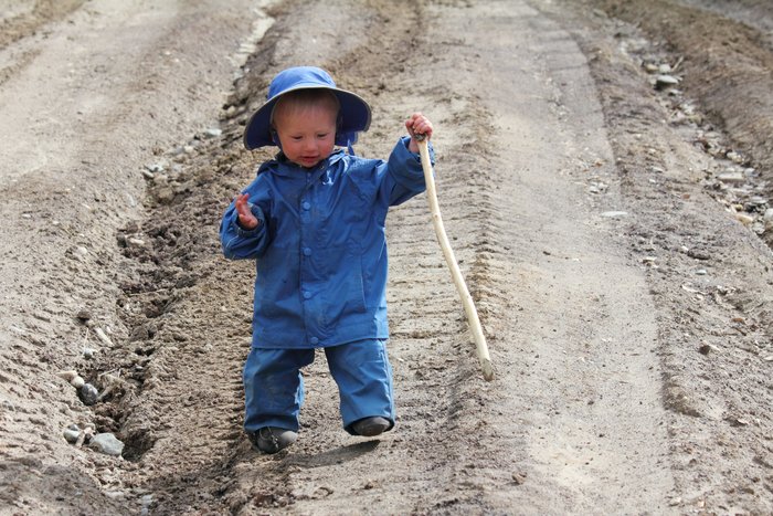 Even with a walking stick, a rough track is a challenge when you're 16 months old