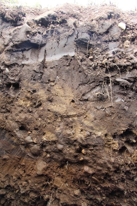 The diffuse tan color here might be oxidized and cryoturbated volcanic ash (tephra).