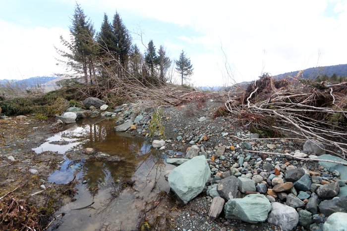 Trees toppled and boulders moved by a tsunami as it flowed out of Taan Fjord into Icy Bay.