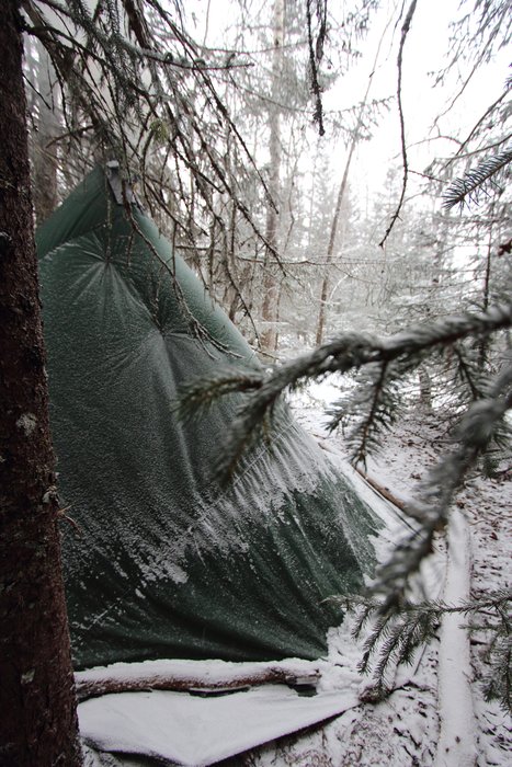 Our tent, a bit cramped by trees, but also protected from the cold wind.