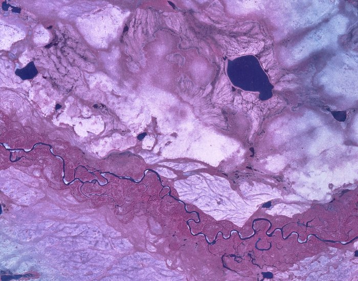 This crop of an Alaska High Altitude Photography infrared image shows the South Fork Koktuli and surrounding wetland tundra.